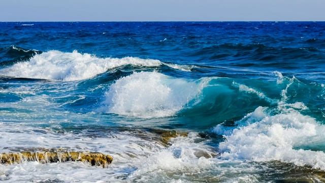 Natalie Cole · Juan Luis Guerra. Bachata Rosa