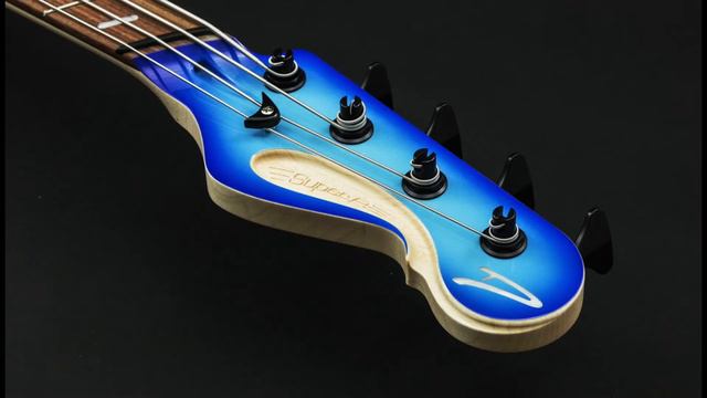 Dingwall Basses 2019