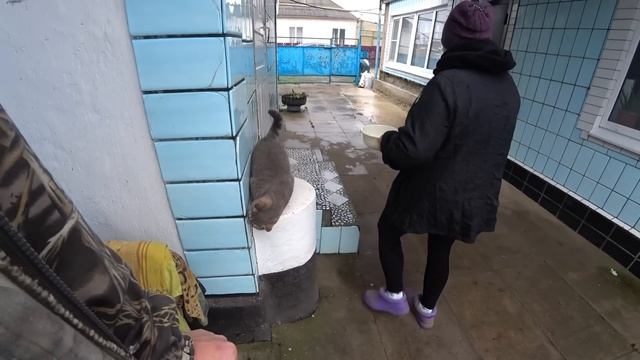 Новогоднее настроение смотреть онлайн