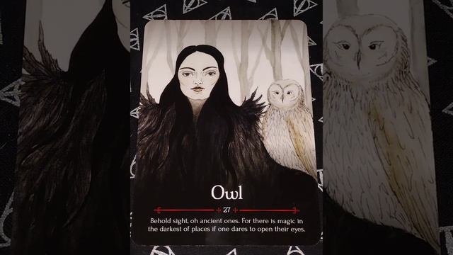 Seasons of the Witch Samhain Oracle Flip Through смотреть онлайн