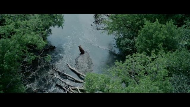 Inkheart | The Inkworld | Our House of Arts смотреть онлайн