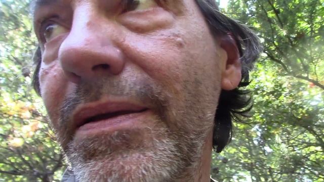 FORT MCCOY Wisconsin Bowhunt "Breaking Down the Fort" Part #3 смотреть онлайн