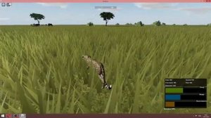 Гепард  Cheetah !!! Охота Hunting . Дикая Саванна / Wild Savanna Роблокс / Roblox