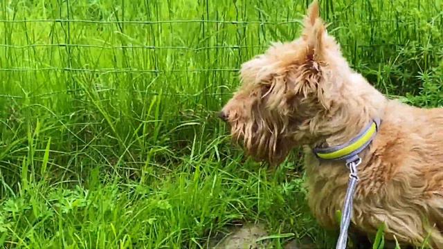 Как найти жилье в Германии.  Русскоязычные  консультации юристов. Прогулка с пользой для здоровья.