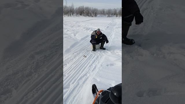 бабья курья. осиновое плесо. снегоход буран. отдых на томи. смотреть онлайн