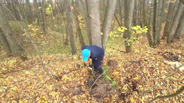 СКОЛЬКО ДЕНЕГ МОЖНО ЗАРАБОТАТЬ НА МЕТАЛЛОЛОМЕ?! смотреть онлайн