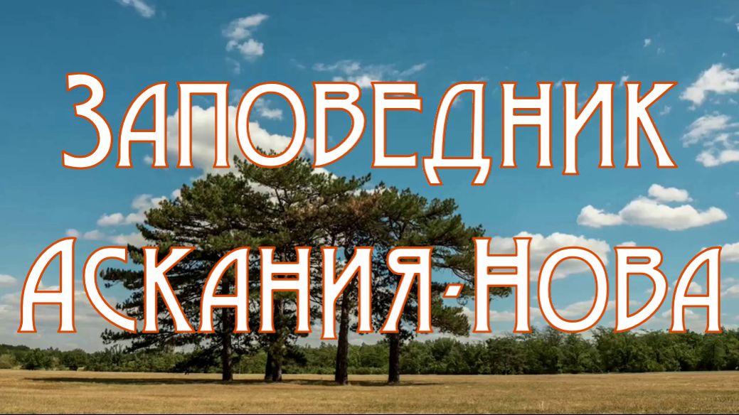 Заповедник Аскания-Нова смотреть онлайн