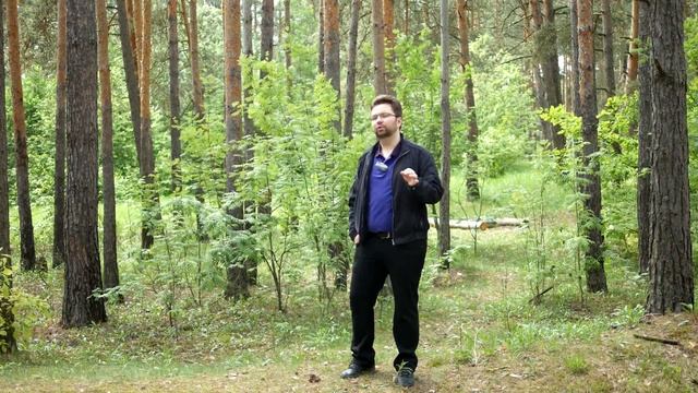 Обзор Yongnuo 85mm F/1.8