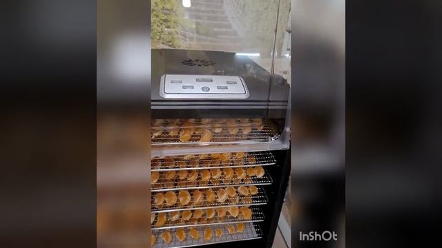 Сушим мандарины смотреть онлайн