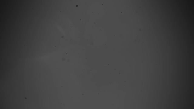 УНИВЕРСАНТЫ. ЛИЦА. СУДЬБЫ. ЮРИЙ КУЗНЕЦОВ