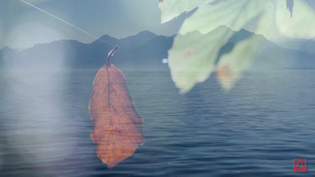 Наставления святаго Антония Великаго часть 52 смотреть онлайн