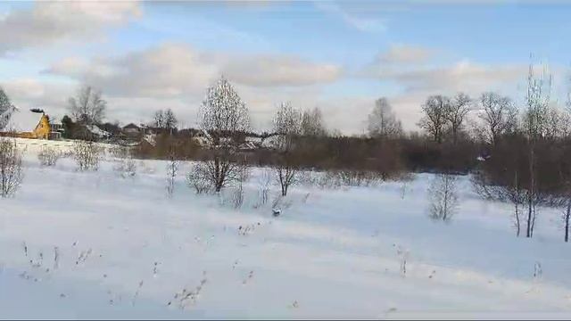 Видео 1017 смотреть онлайн