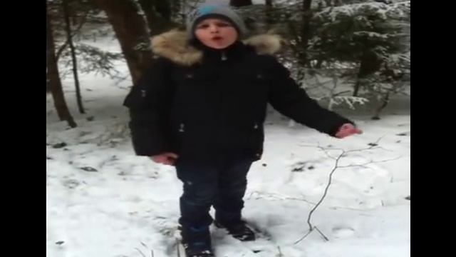 А.С. Пушкин «Зимний Вечер» смотреть онлайн