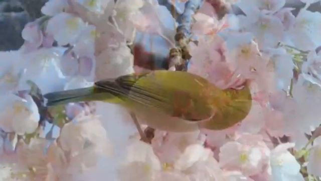 "Весна" смотреть онлайн