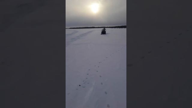 Снегоход Тайга с двигателем к6а сузуки. смотреть онлайн