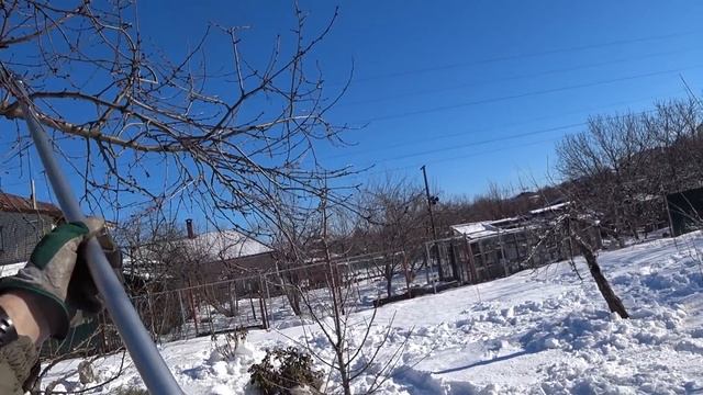 Обрезка старой вишни Как определить по почке тип вишни смотреть онлайн
