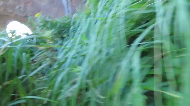 択捉島 / Итуруп / Iturup Island. 2021 смотреть онлайн