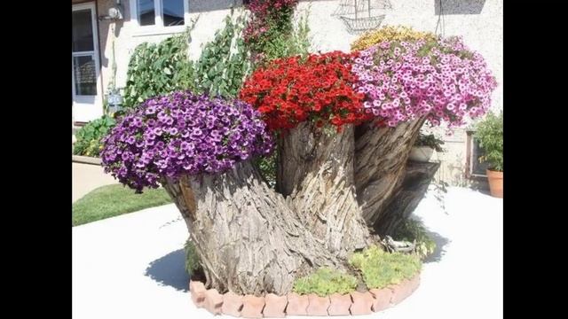 8 наикрасивейших клумб для дачи смотреть онлайн