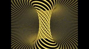 Торсионные поля Вашего организма