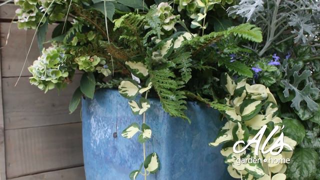 Garden Time show 4 3-23-19 смотреть онлайн