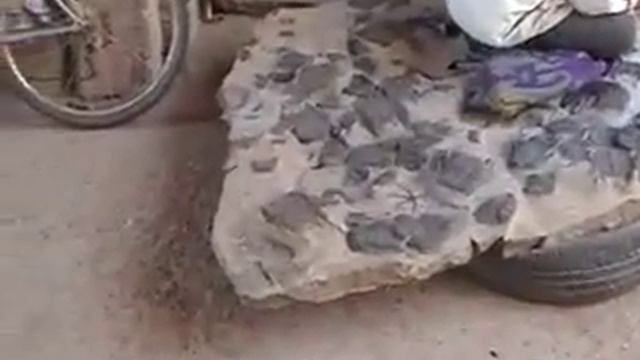 2005.10.11-Prep Lab-Part 01-Erfoud, Morocco смотреть онлайн