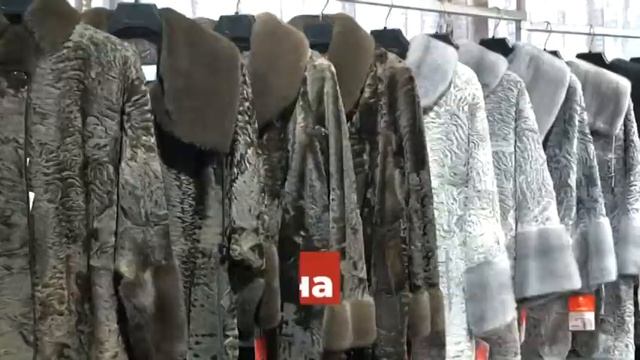 Новокузнецк 17 21 марта 10 сек Каракуль SD 16x9 смотреть онлайн