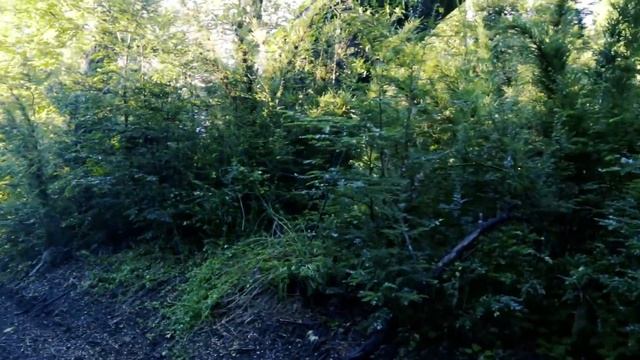Huilo Huilo Trail Run 2018 смотреть онлайн