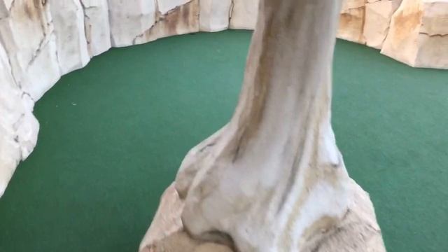 JURASSIC PARK: Dominion, Dino Falls Adventure Golf Manchester, Trafford Park Mini Crazy Golf смотреть онлайн