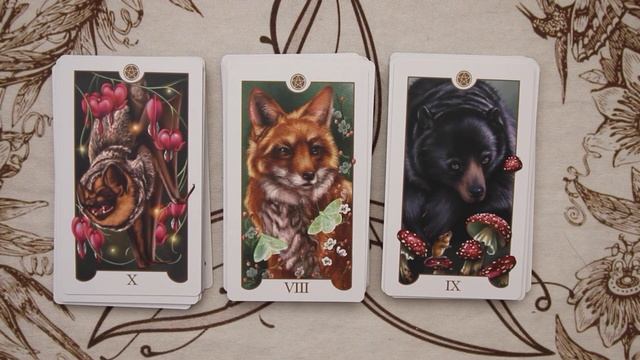 2 New Decks: Tree Keepers Oracle and Animal & Botanical Tarot and #unboxing #firstimpressions смотреть онлайн