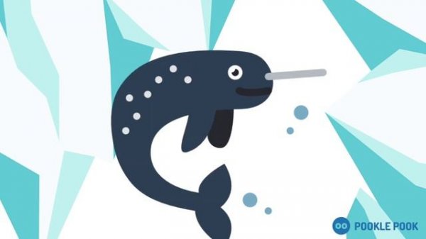 ARCTIC Animal Quiz | For Teachers and Kids | Teaching Resource | Timed Guessing Game