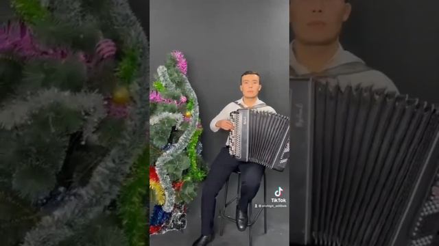 Керемет талант иесі.Баянды әдемі ойнаған Қызылордалық Ержігіт баянист. смотреть онлайн