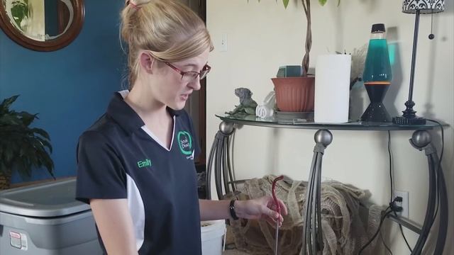 Picking up 2 Rescued Pythons! смотреть онлайн