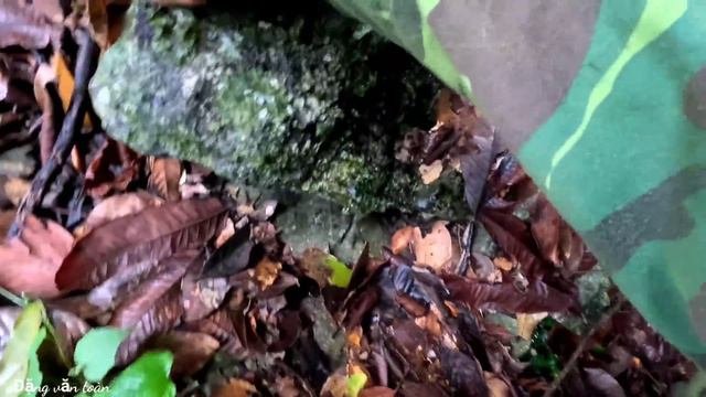 FULL VIDEO : 300 Days, Survival Alone, Skills, Boar Traps, Survival Instincts