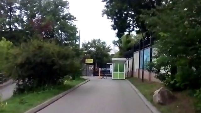 Выходим из московского зоопарка Кудрявый пеликан серебристая чайка зебра смотреть онлайн