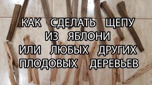 Как сделать щепу из яблони или любого другого плодового дерева
