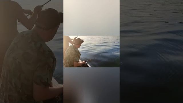 ЩУКИ ВАСИЛЬЕВСКИХ ОСТРОВОВ ! смотреть онлайн