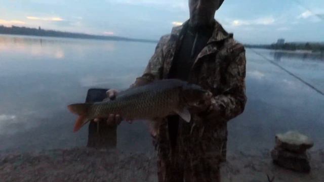 24 часа на рыбалке В поисках карпа!!!! смотреть онлайн