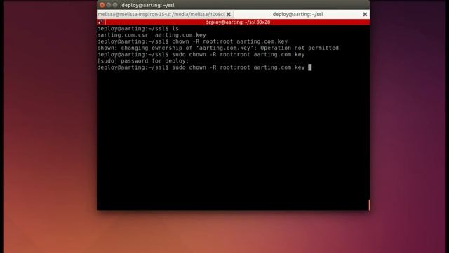 Ruby Snack #54: Install SSL Certificate on Ubuntu running Apache смотреть онлайн