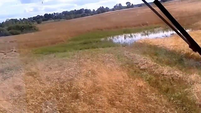 Уборка озимой пшеницы. дожди не дают убирать( смотреть онлайн