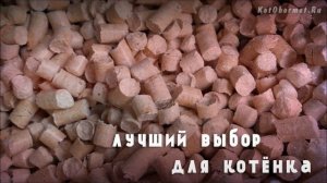 Как выбрать наполнитель для кошачьего туалета — советы и обзор средств