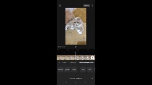 Как добавить музыку и текст в CapCut. монтаж видео на телефоне #capcuttutorial #capcut