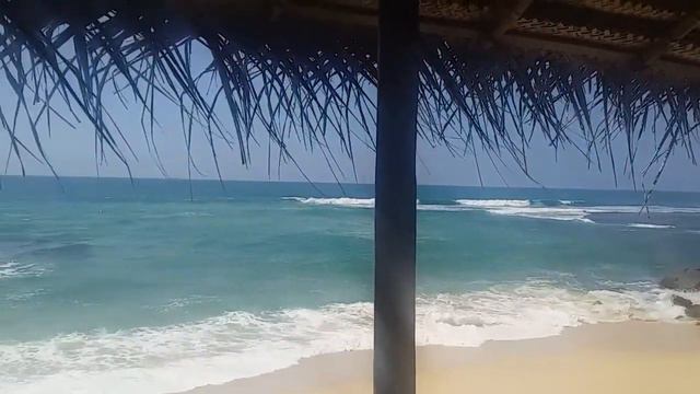 Первое впечатление о Шри-Ланке - 1/02/2022 смотреть онлайн