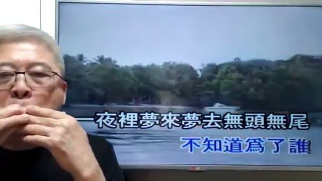 昨夜夢醒時-韓寶儀(口琴獨奏伴卡拉OK) Michael Gor смотреть онлайн