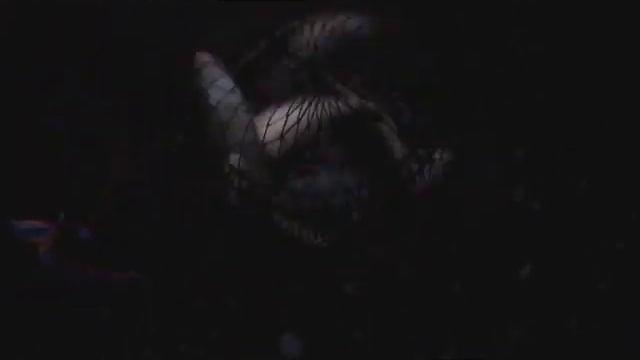 Видео. Рыбалка на реке Обь. смотреть онлайн