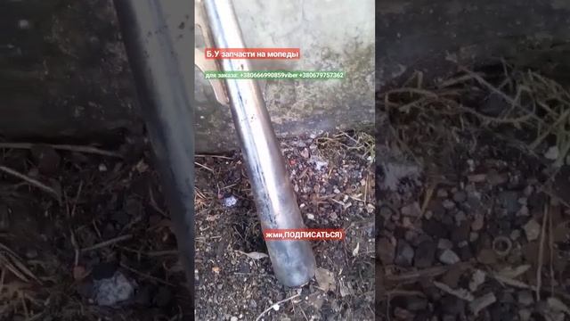 Выхлопная Труба Б.У Alpha,Delta #moto_sotka #подпишись #мопед #запчасти смотреть онлайн