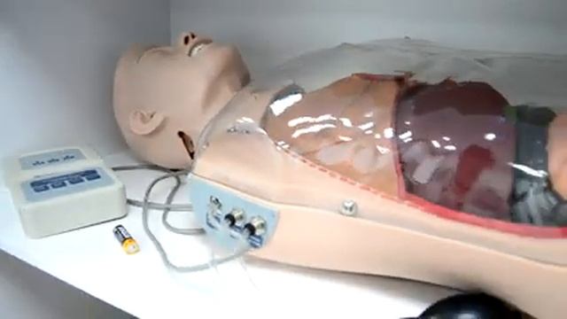 Виртуальная экскурсия по Тюменскому медицинскому колледжу смотреть онлайн