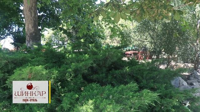 Азов. Парк-отель "Шинкар". Темрюкский район, поселок Пересыпь. Отдых круглый год. 24/7. ПЕРВАЯ ЛИНИ смотреть онлайн