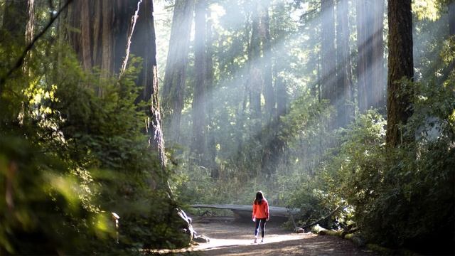 10GRI = FINALLY смотреть онлайн