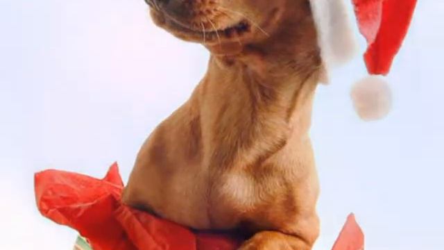 всё впереди новогодняя песня смотреть онлайн