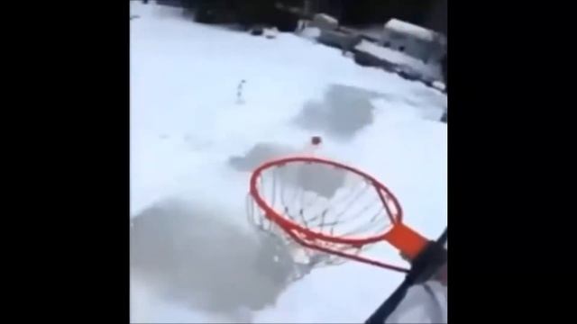 Bocchi The Racist.mp4 смотреть онлайн